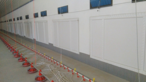 DRZWI TUNELOWE DO FERM DROBIU