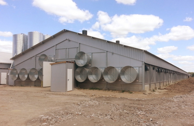 WROTA, DRZWI TUNELOWE, DRZWI SOCJALNE DO FERM DROBIU